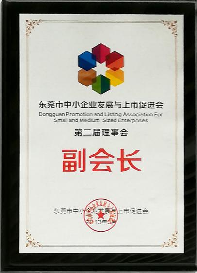 2013年東莞市中小企業發展與上市促進會第二屆理事會副會長